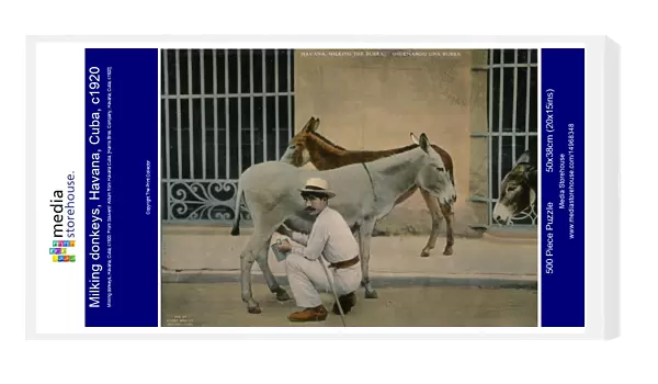 Milking donkeys, Havana, Cuba, c1920