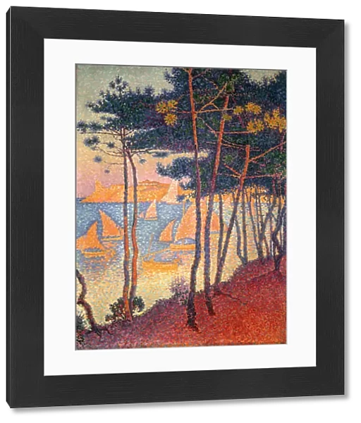 Sails and pines. Artist: Signac, Paul (1863-1935)