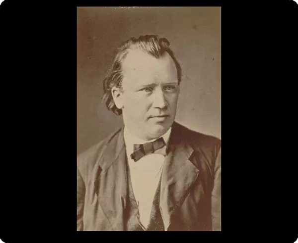 Portrait of the composer Johannes Brahms (1833-1897), 1875