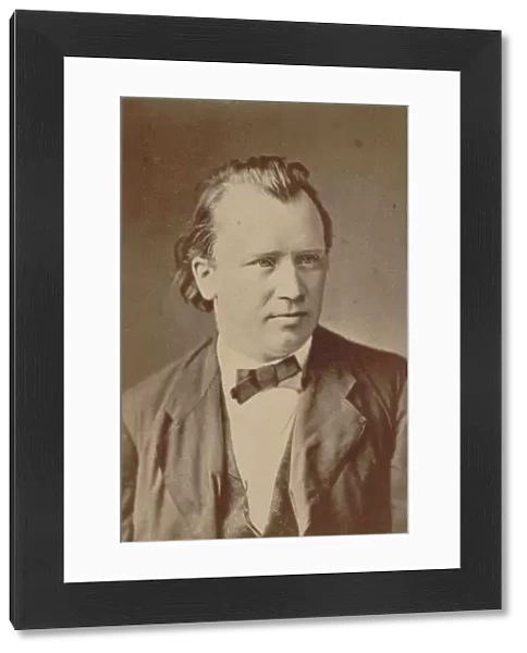 Portrait of the composer Johannes Brahms (1833-1897), 1875
