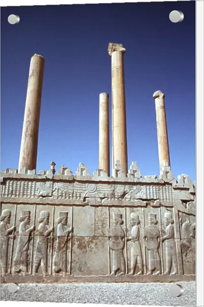 Relief of Medes and Persians, the Apadana, Persepolis, Iran