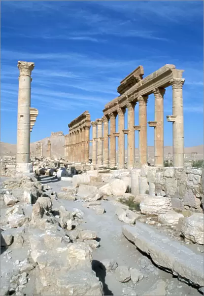 Upper Colonnade Street, Palmyra, Syria