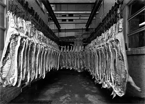 Interior of a butchery factory, Rawmarsh, South Yorkshire, 1955. Artist: Michael Walters