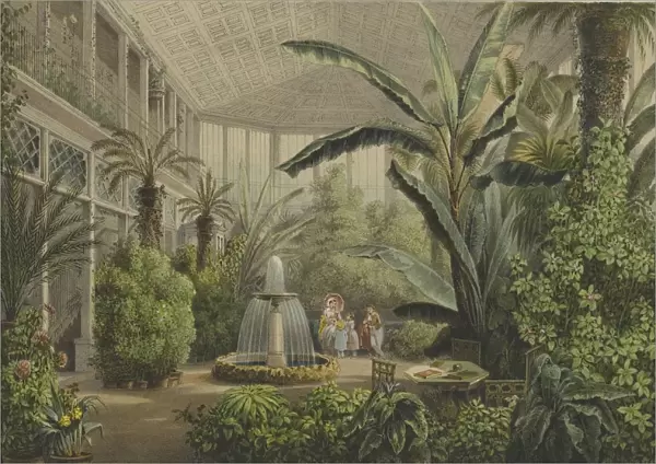 Verkiai Palace. Interior of conservatory, 1847-1852