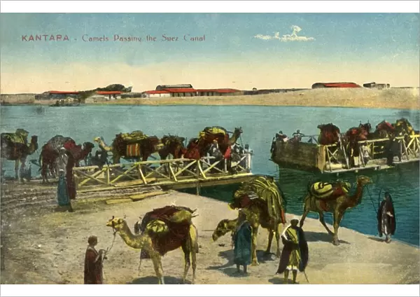 Kantara - Camels passing the Suez Canal, c1918-c1939. Creator: Unknown
