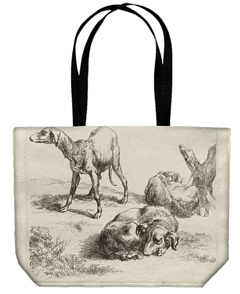 Three Hunting Dogs. Creator: Nicolaes Berchem (Dutch, 1620-1683)
