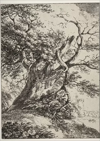 Specimens of Polyautography: Landscape with an Oak Tree, 1803. Creator: Thomas Hearne (British