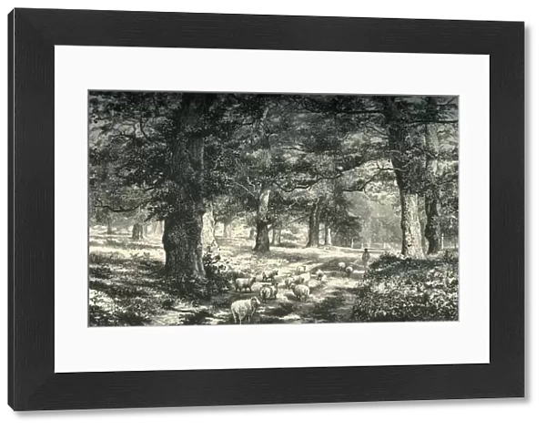 In Sherwood Forest, c1870