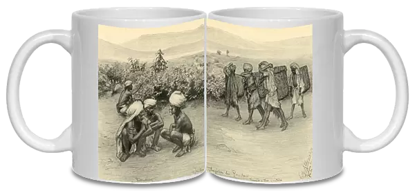 Tea pickers, Peradeniya, Ceylon, 1898. Creator: Christian Wilhelm Allers