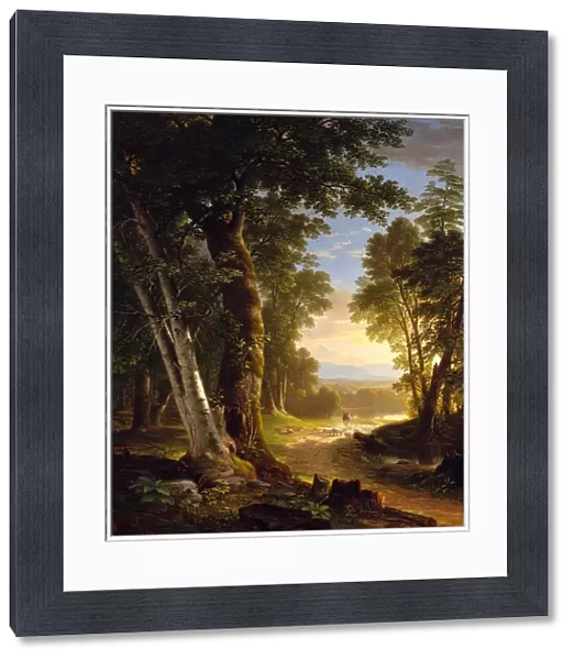 The Beeches, 1845. Creator: Asher Brown Durand