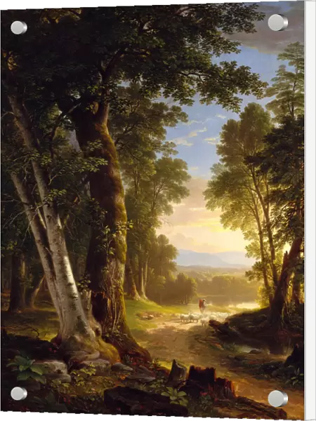 The Beeches, 1845. Creator: Asher Brown Durand