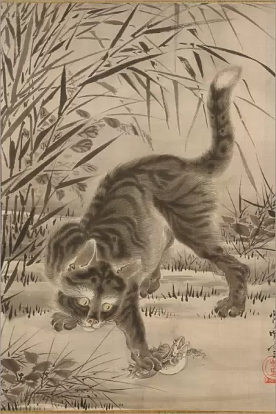 Cat Catching a Frog, ca. 1887. Creator: Kawanabe Kyosai