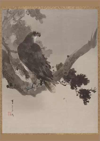 Eagle in a Tree, ca. 1887. Creator: Watanabe Seitei