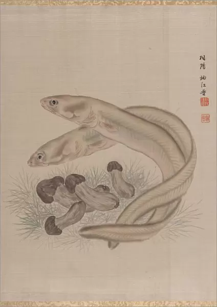 Eels, ca. 1890-92. Creator: Seki Shuko