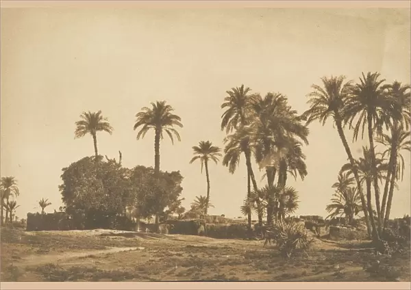 Vue du Village de Hamarneh, pres de Denderah (Rive droite), 1849-50