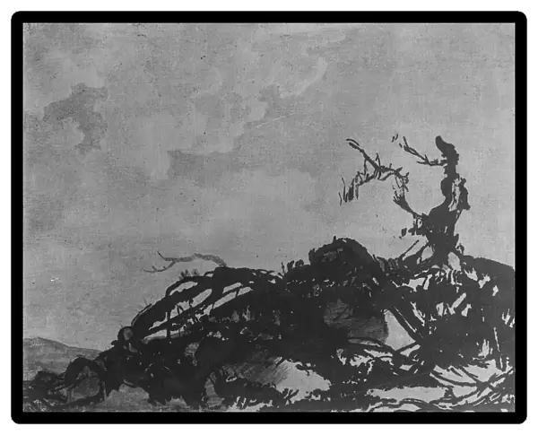 The Fallen Tree, ca. 1785. Creator: Alexander Cozens