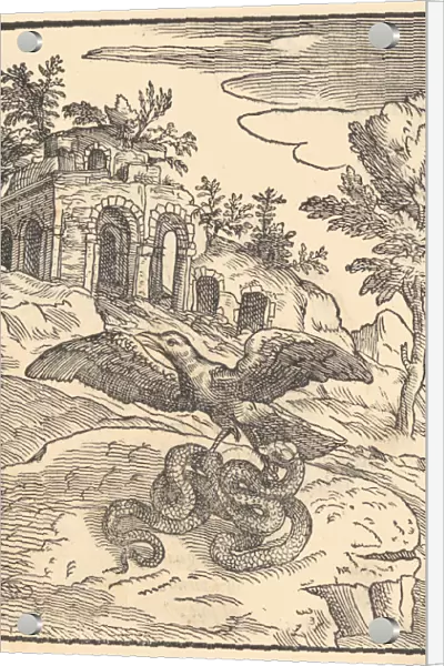 Bird and snake, 1570. Creator: Giovanni Maria Verdizotti