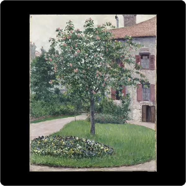 Tree in Blossom, 1882. Creator: Caillebotte, Gustave (1848-1894)