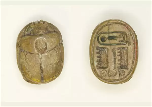 Scarab: Maatkara (Hatshepsut), Egypt, New Kingdom, Dynasty 18