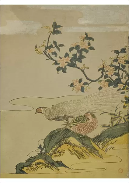 Pheasants under Branch of Peach Blossoms, c. 1764  /  75. Creator: Isoda Koryusai