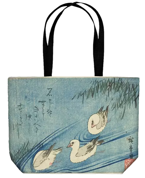 Oystercatchers, c. 1833 / 34. Creator: Ando Hiroshige