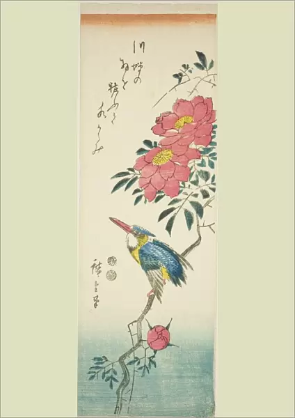 Kingfisher and roses, c. 1847 / 52. Creator: Ando Hiroshige