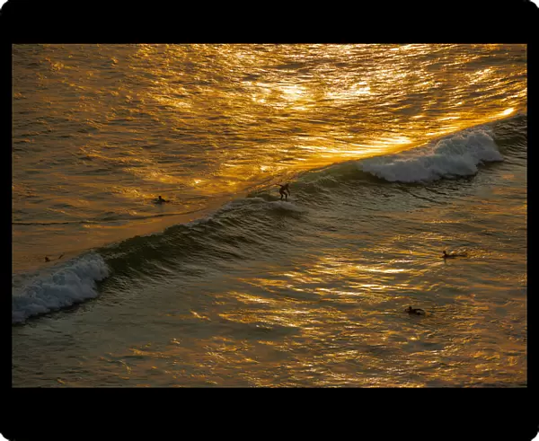 Sunset Surfing. Creator: Viet Chu