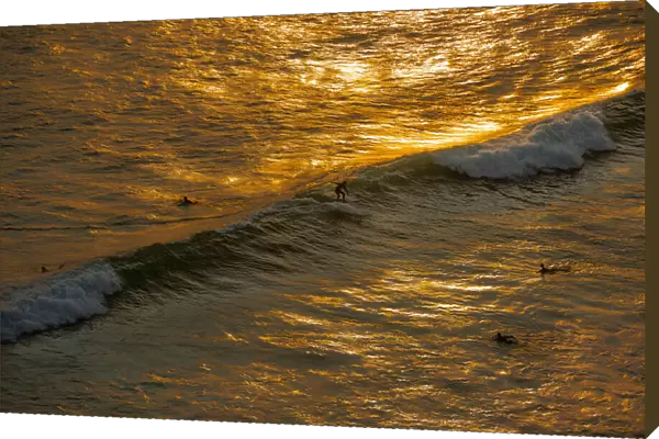 Sunset Surfing. Creator: Viet Chu