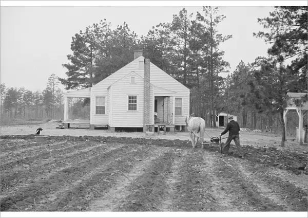 Briar Patch Project, Resettlement homestead near Eatonton, Georgia, 1936. Creator: Walker Evans