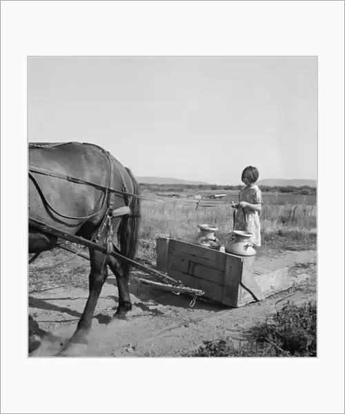 All Chris Adolfs children are hard workers... Yakima Valley, Washington, 1939. Creator: Dorothea Lange