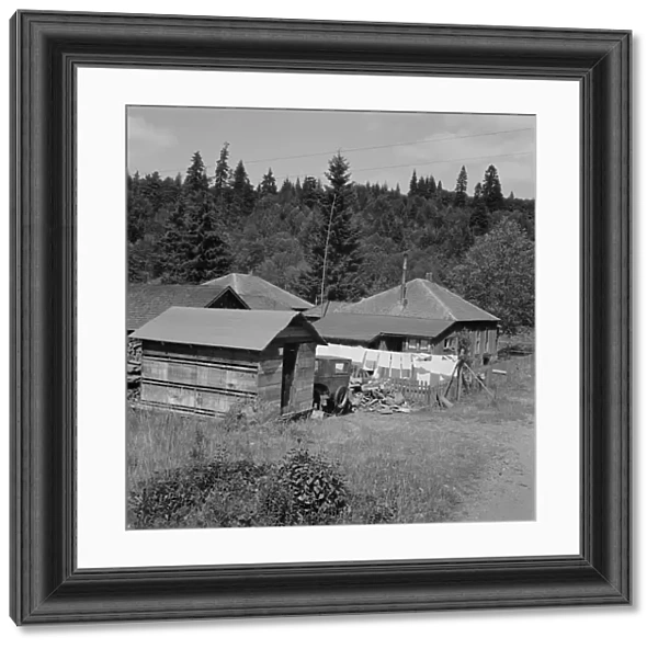 Company houses of closed mill... Malone, Grays Harbor County, Western Washington, 1939. Creator: Dorothea Lange