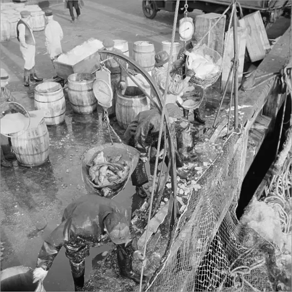 Stevedores at the Fulton fish market unloading fish from boats caught... New York, 1943. Creator: Gordon Parks