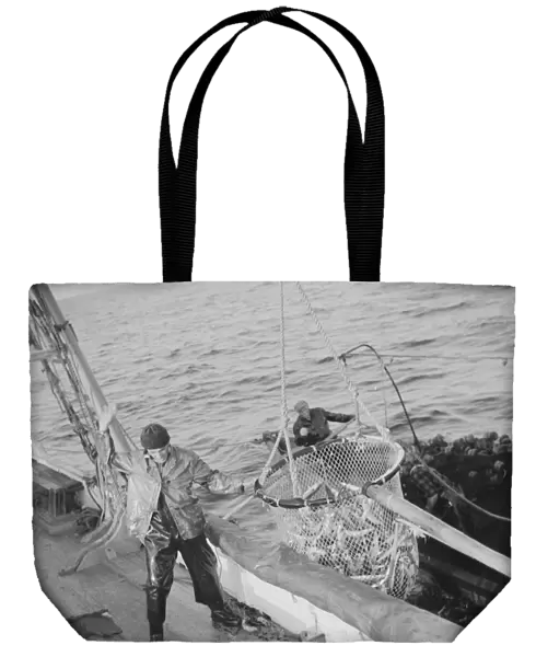 Franasco Parisi, youngest member of the Aldens crew, motioning for the skipper to hoist 1943. Creator: Gordon Parks