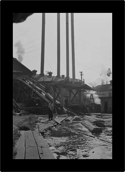 Possibly: At Pelican Bay Lumber Company mill, near Klamath Falls, Klamath County, Oregon, 1939. Creator: Dorothea Lange