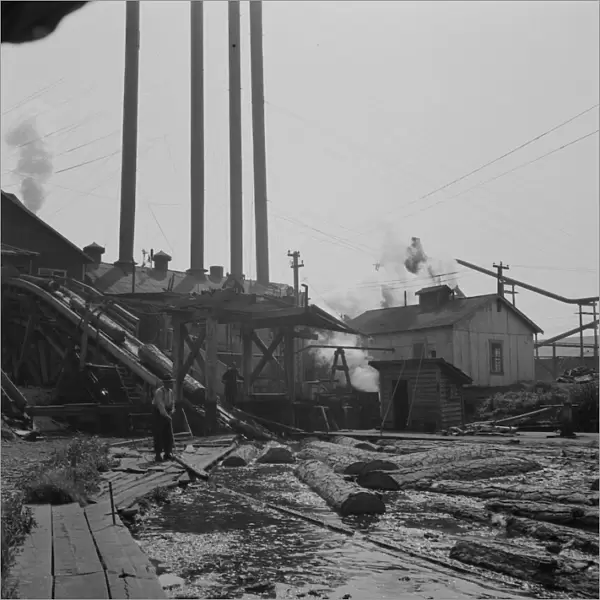 Possibly: At Pelican Bay Lumber Company mill, near Klamath Falls, Klamath County, Oregon, 1939. Creator: Dorothea Lange