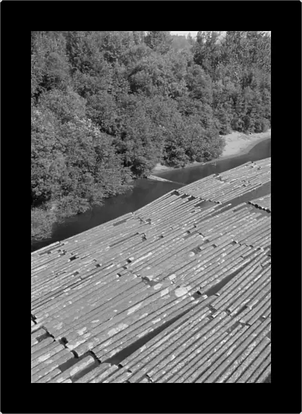 Log rafts on the Williamette River between Salem and Independence, Oregon, 1939. Creator: Dorothea Lange