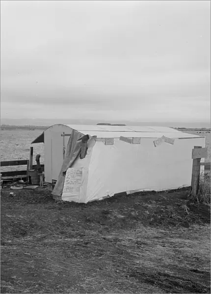 Outside of potato pickers camp, across from the... Tulelake, Siskiyou County, California, 1939. Creator: Dorothea Lange