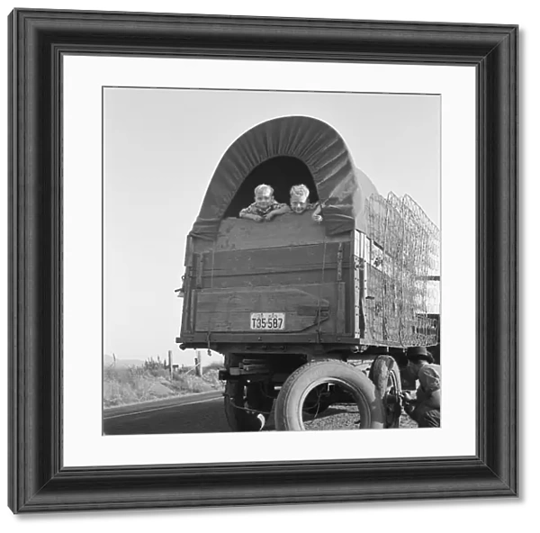 Just arrived from Kansas, on highway going to potato... near Merrill, Klamath County, Oregon, 1939. Creator: Dorothea Lange