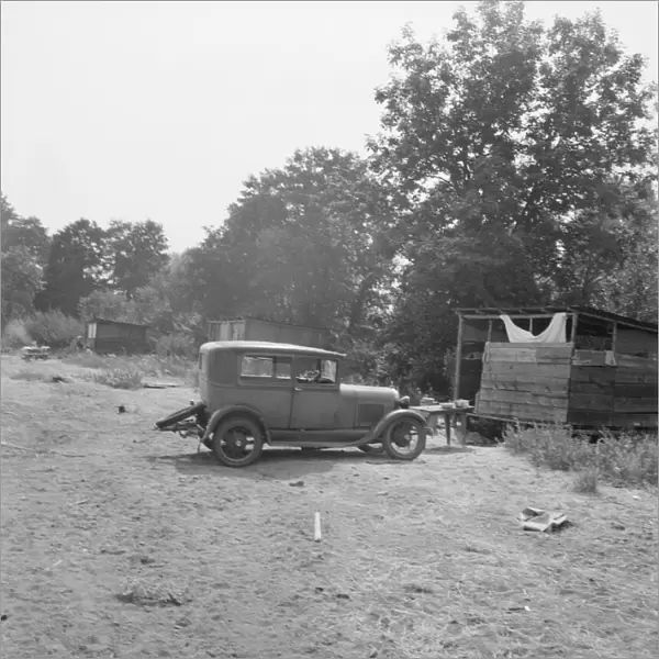 [Hop pickers camp?], 1939. Creator: Dorothea Lange
