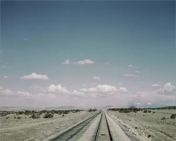 Flagman standing behind his train to flag oncoming trains at a small siding... New Mexico, 1943. Creator: Jack Delano