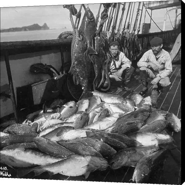 Fishing boat, cod and halibut, before 1927. Creator: Unknown