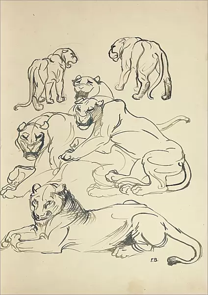 Six cougars, 1914. Creator: Franz Barwig the Elder