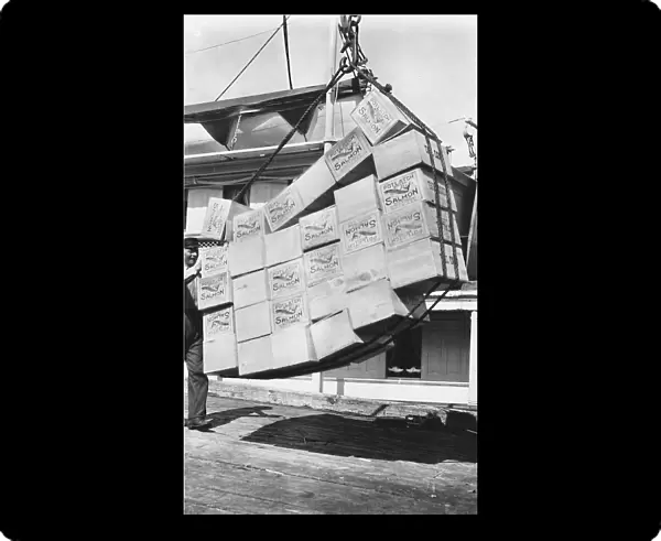 Loading boxes of salmon Petersburg, between c1900 and c1930. Creator: Unknown