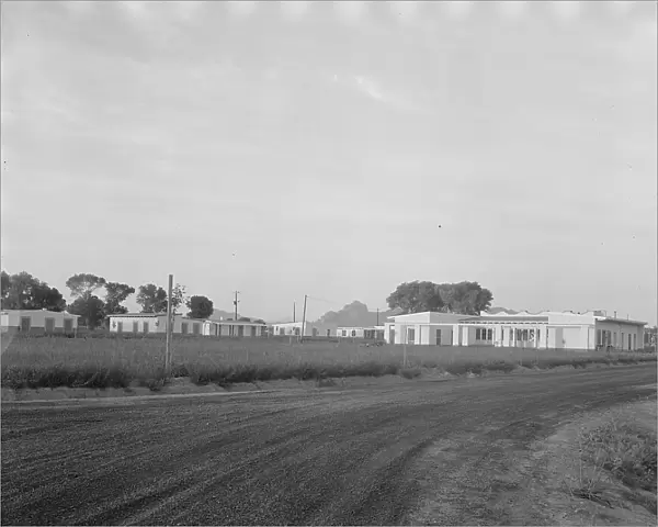 View of Resettlement Administration's part-time farms, Glendale, Arizona, 1937. Creator: Dorothea Lange