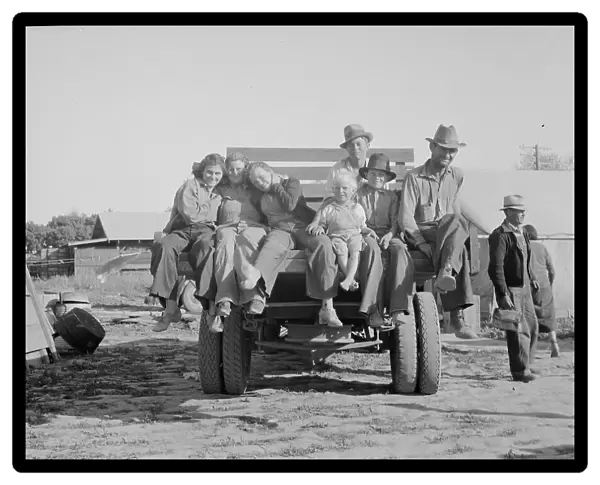 California pea pickers returning to camp... near Santa Clara, California, 1937. Creator: Dorothea Lange