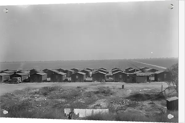 Company housing for Mexican cotton pickers, South of Corcoran, California, 1936. Creator: Dorothea Lange