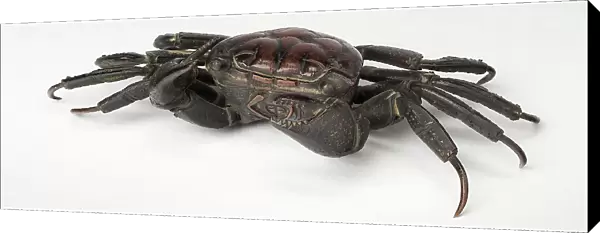 Articulated crab, 19th century. Creator: Unknown