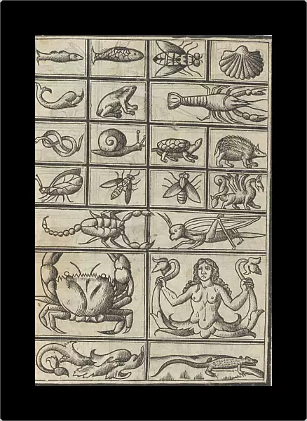 Trionfo Di Virtu. Libro Novo... page 23 (verso), 1563. Creator: Matteo Pagano