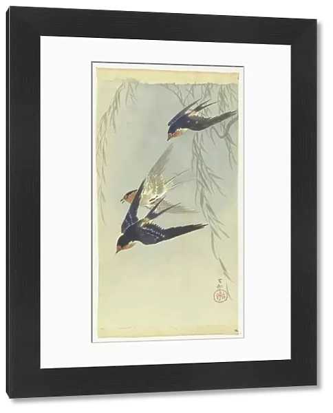 Three birds in full flight. Creator: Ohara, Koson (1877-1945)