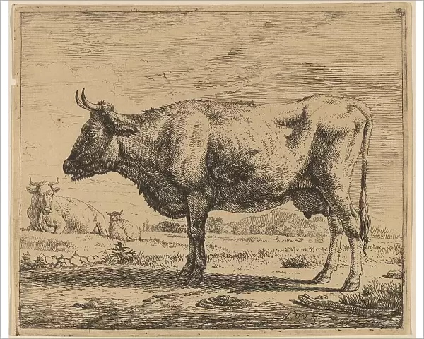 Two Cows and a Sheep, c. 1657 / 1659. Creator: Adriaen van de Velde